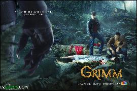 poster_tvgrimm.com_001 (1134x756, 344 k...)