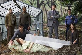 promo_2s_tvgrimm.com_015 (600x400, 81 k...)